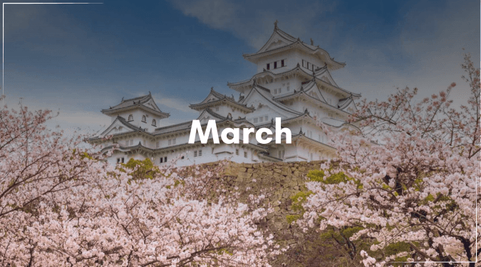 march- flyfinity travels